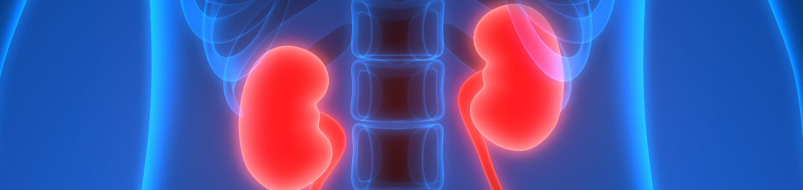 ART National Conference 2025