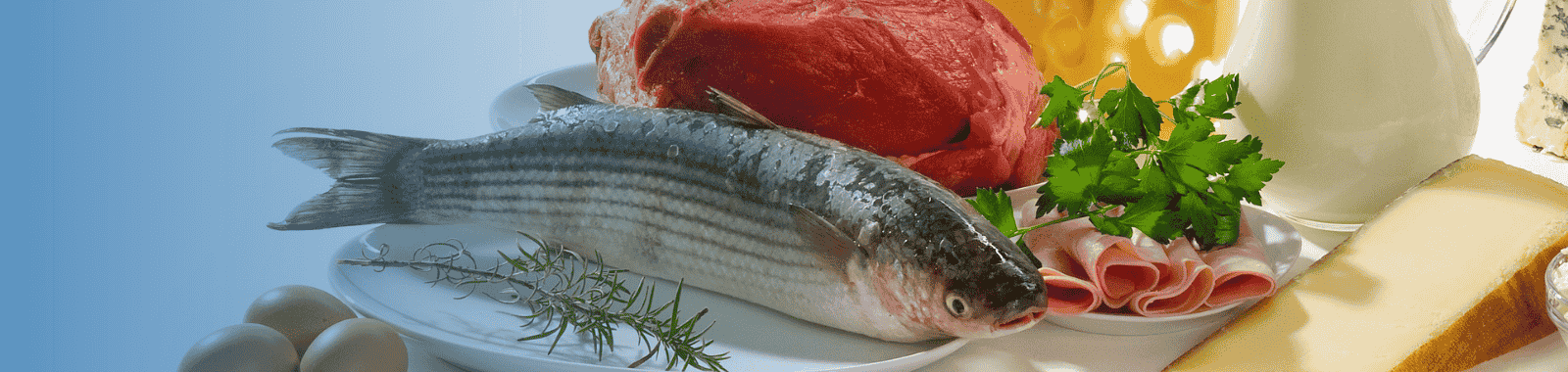 Testing meat, fish, dairy, eggs and vegan foods at Eurofins Food Testing UK