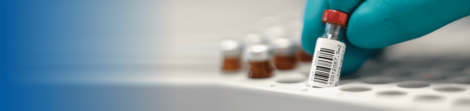 Dioxins, Furans and PCBs testing in food