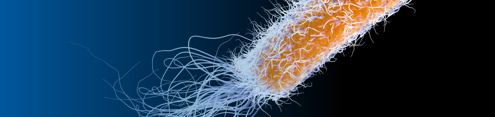 Pseudomonas species testing in industrial and commercial water systems