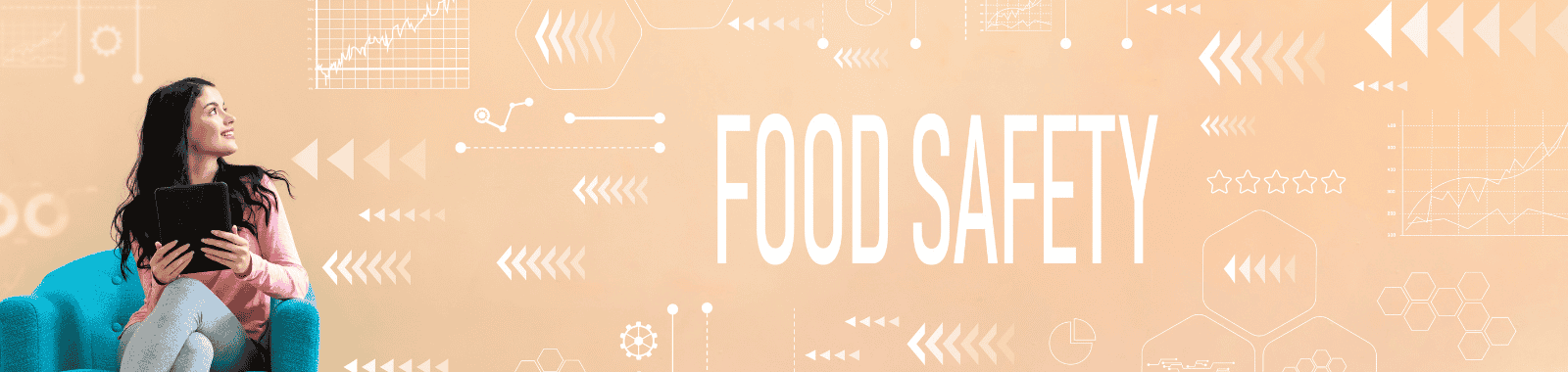 Food Safety Interim Technical & Quality Support