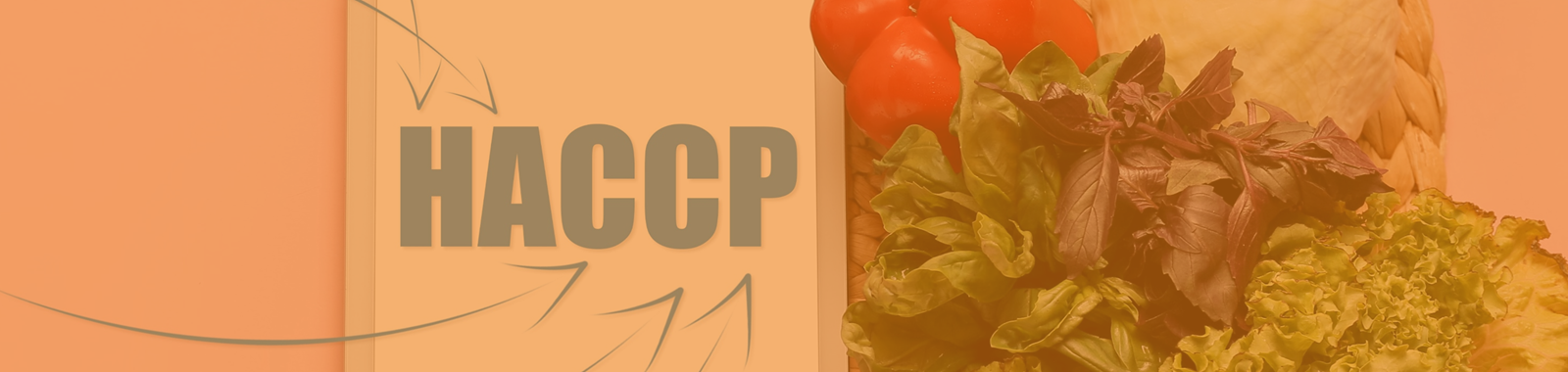 HACCP Refresher and Update