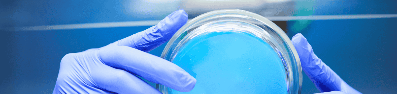 Surface and air microbiological testing for hygiene verification in laboratory