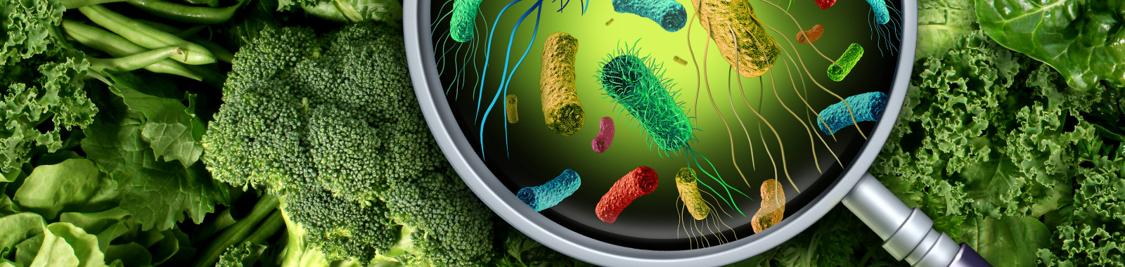 Food Risk Insights covering regulatory and market changes