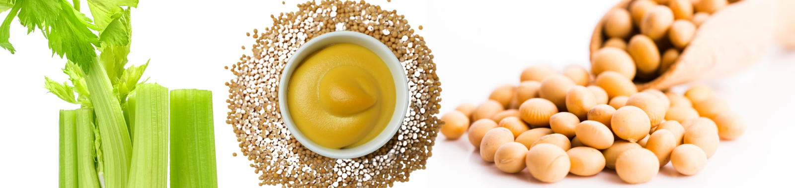 New PCR Allergen testing