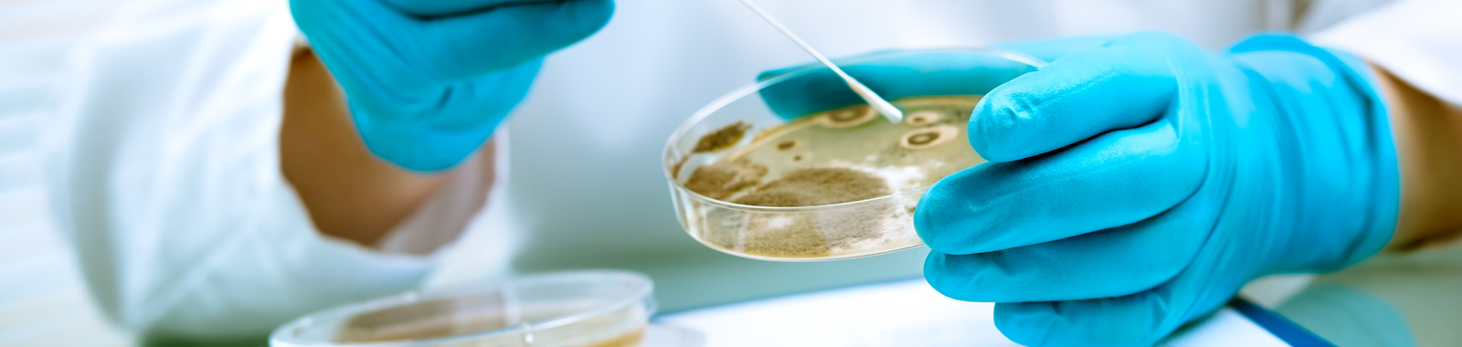 Listeria monocytogenes compliance testing at Eurofins laboratory