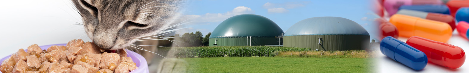 Animal By-Product Testing Banner