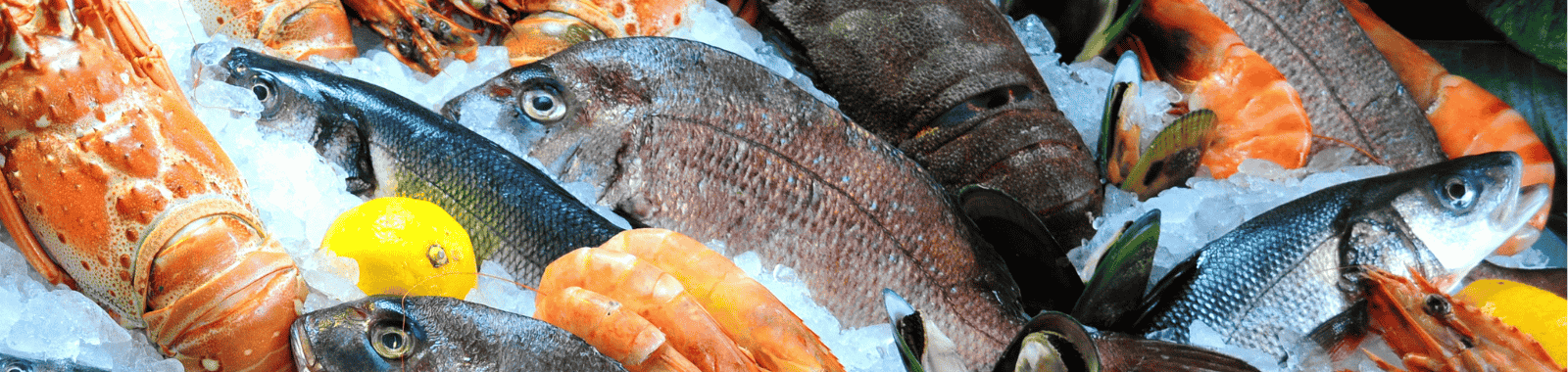 Seafood authenticity, TVB-N freshness, and shelf-life testing at Eurofins Food Testing UK
