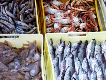 Vibrio Detection in seafood