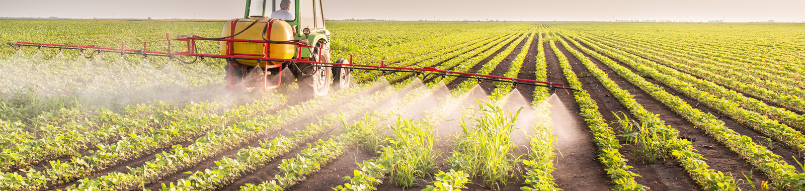 PFAS Testing in Food and Feed, seafood