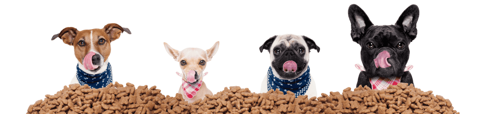 Animal By-Product testing packages available to order online via Europortal or webshop