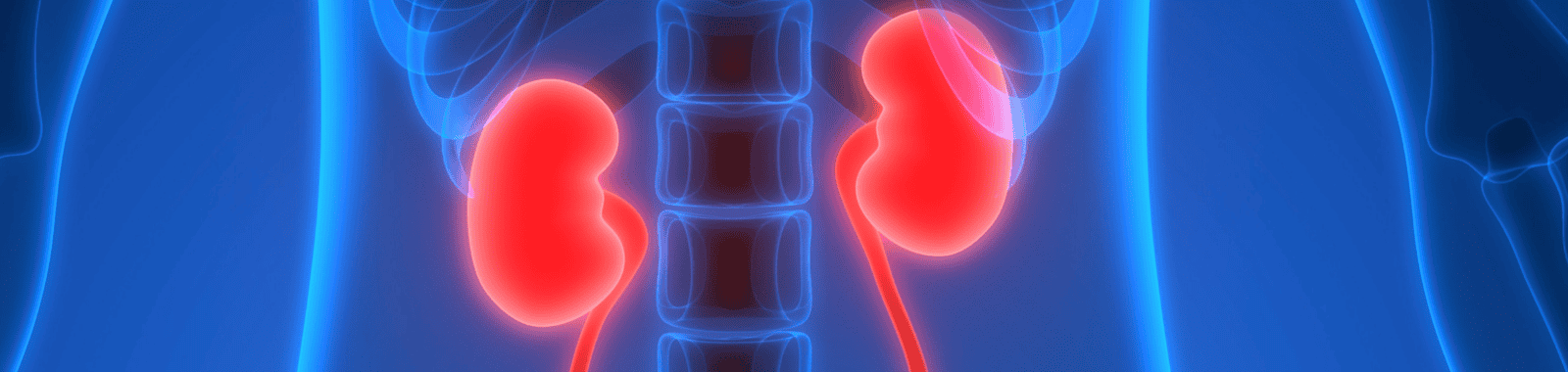 Dialysis water quality testing for renal units to ISO 23500