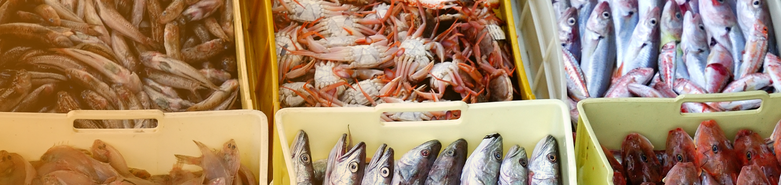 Vibrio in seafood products