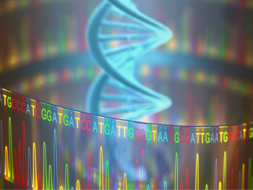 Food spoilage investigation by NGS