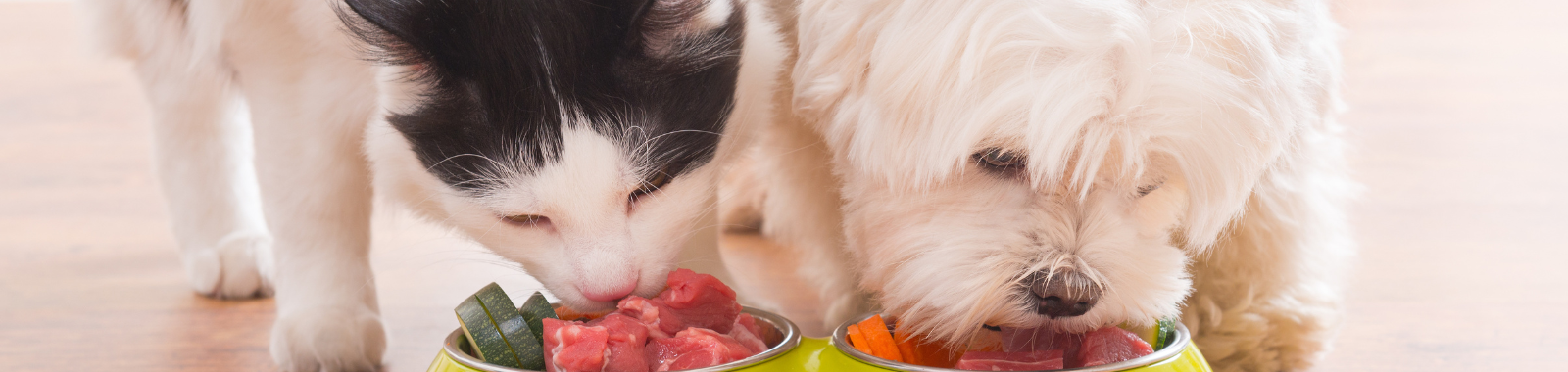 Eurofins at PATS Tradeshow 