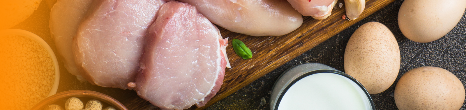 Salmonella testing of food samples