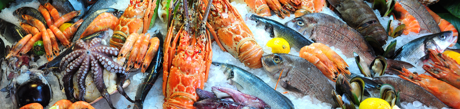Seafood freshness testing using TVB-N analysis at Eurofins Food Testing UK