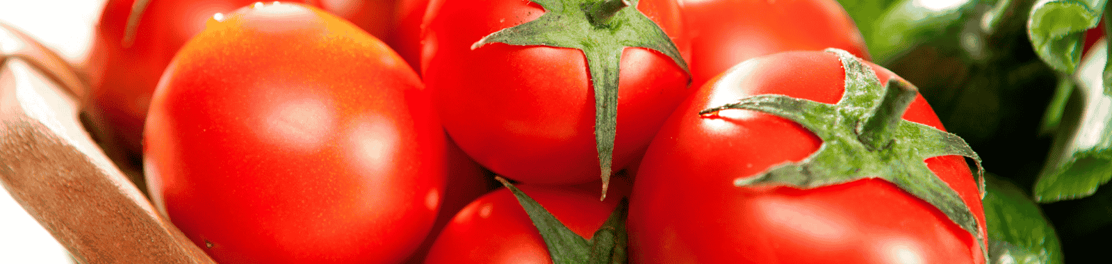 AI-powered organic authenticity testing for UHT milk and tomatoes under the TOFoo project