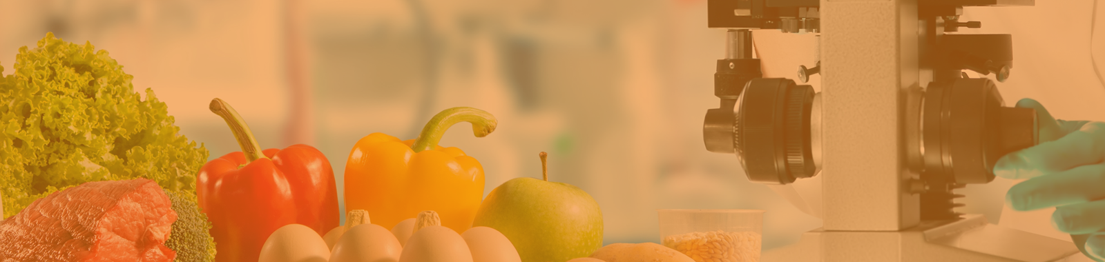 Recent Developments in  Food Safety | An Update for Food Professionals