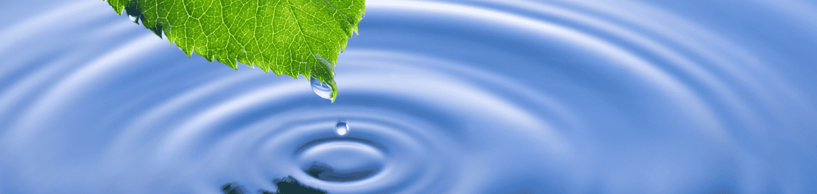 Laboratory analyst testing water samples for multiple industries