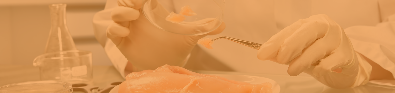 Identifying Food Safety Hazards and Managing Control 