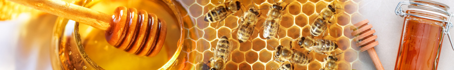 Laboratory honey authenticity testing to detect adulteration and verify origin