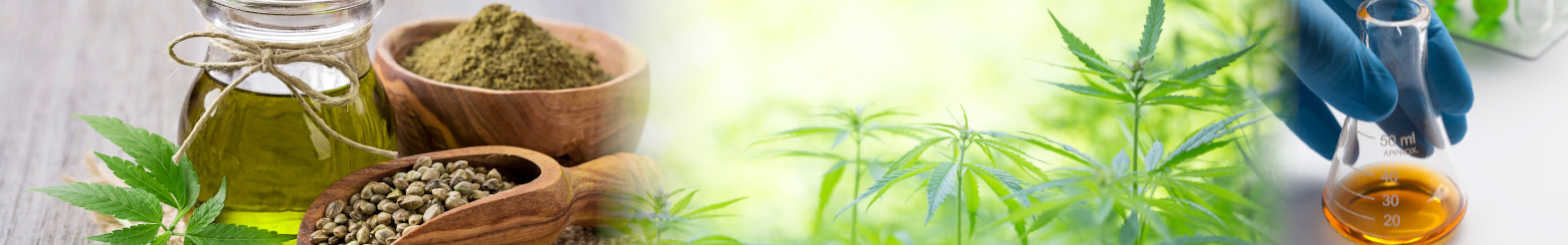 Laboratory analysis of cannabinoids in hemp seed oil and CBD foods