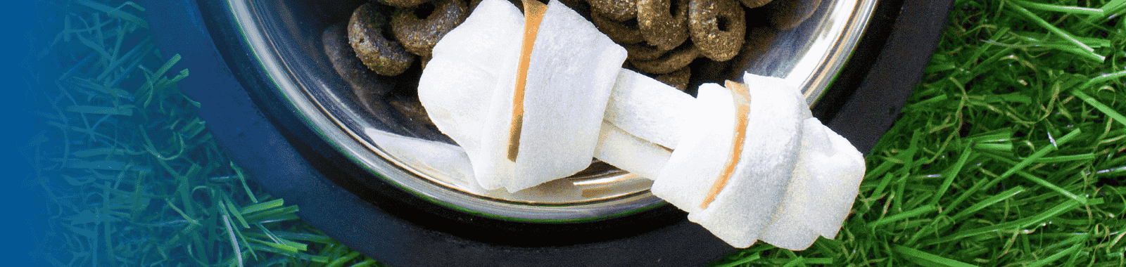 Dog chew microbiology testing in a UKAS accredited laboratory