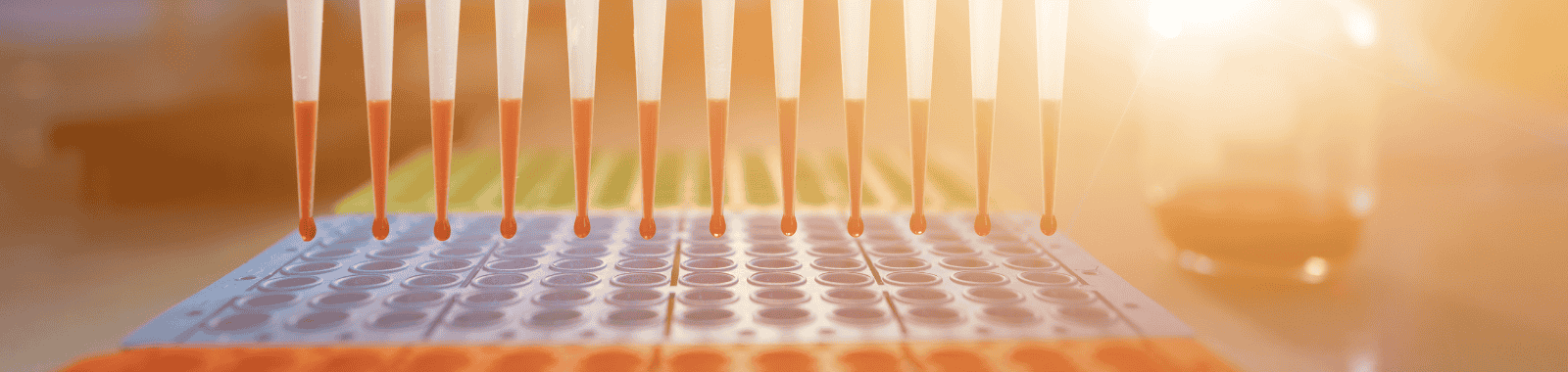 Molecular Biology for Food Authenticity from Eurofins 