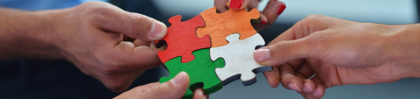 Food Regulatory Compliance and Risk Management 