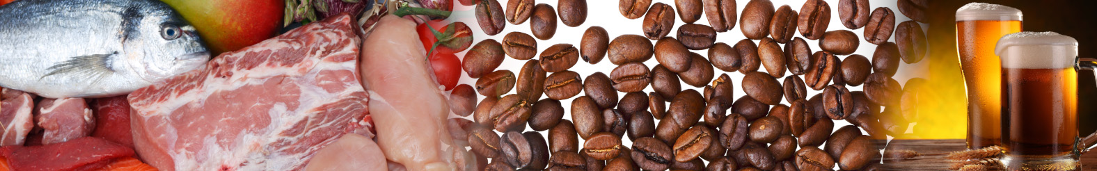 Food fraud and authenticity testing