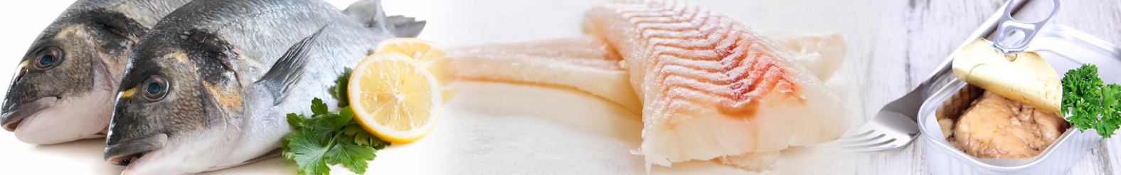 DNA-based fish species verification for raw and processed seafood