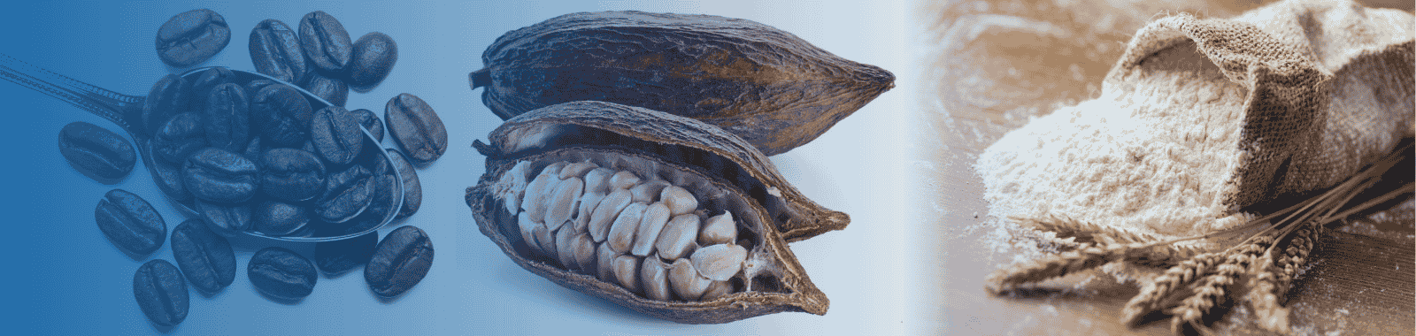 Trusted food & commodity testing across the supply chain