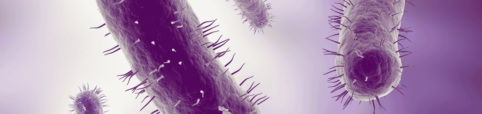 Total coliform testing in drinking and process water samples