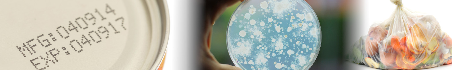 microbiological challenge testing from eurofins