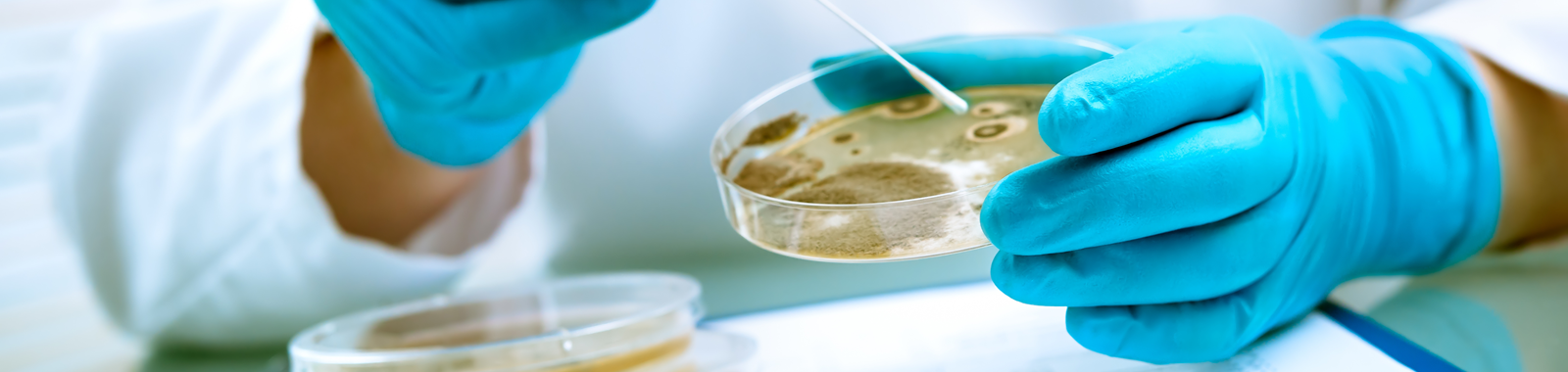 Food microbiological risk assessment guidance | Eurofins UK