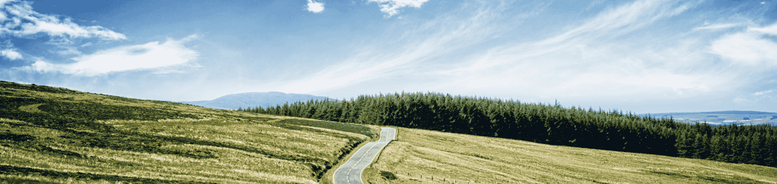 Food safety horizon scanning & emerging risks