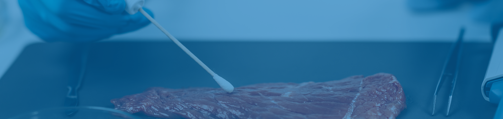 Introduction to Microbiological Sampling and Testing of Foods