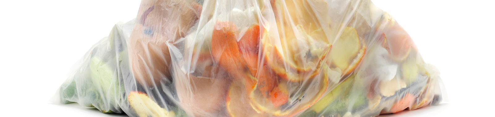 Food microbiological challenge testing guidance document cover image