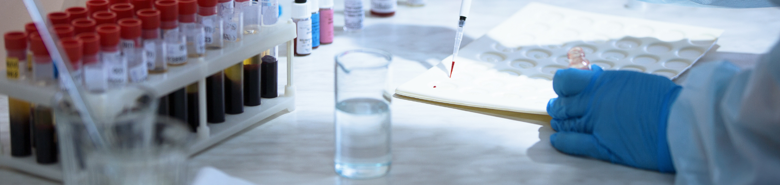 Retrieve the recording!