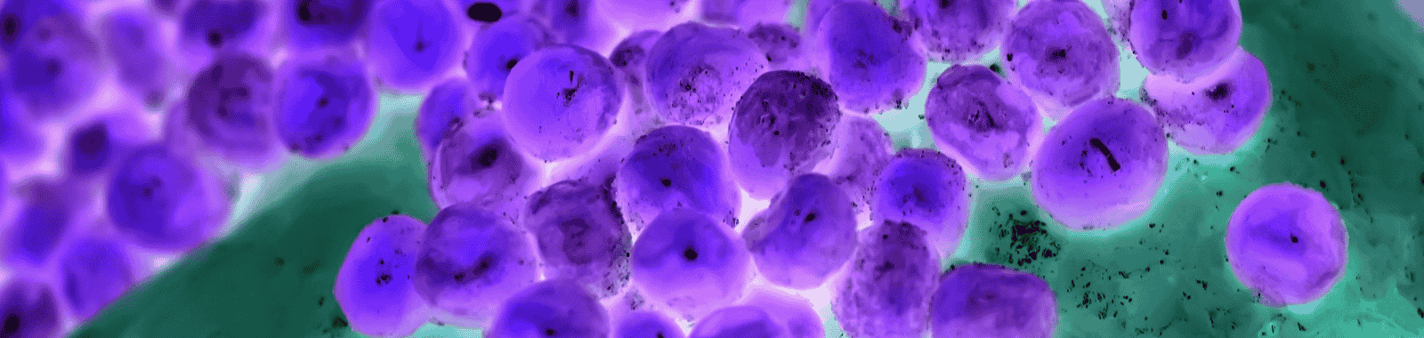 Enterococci testing in environmental and bathing water samples