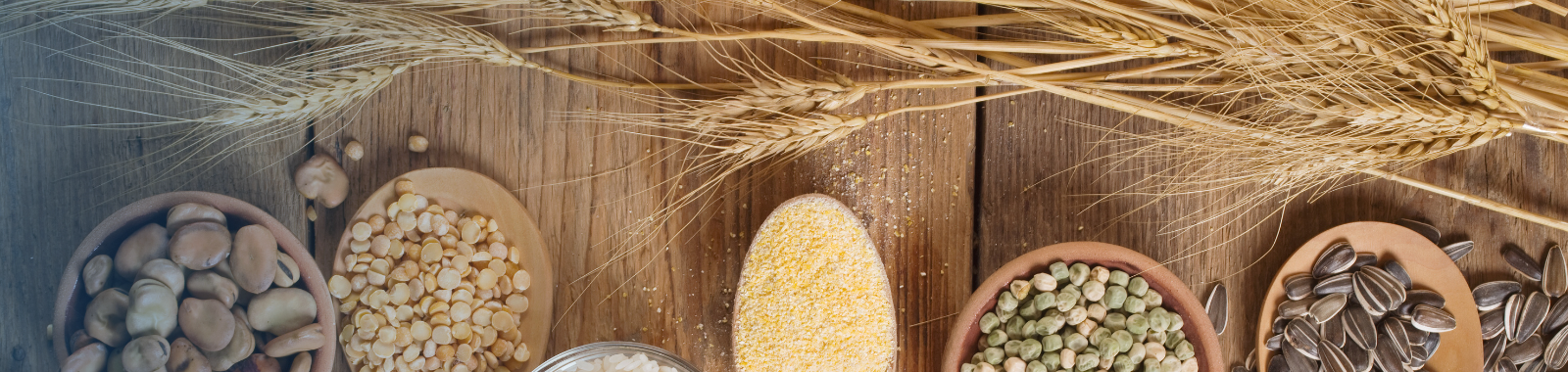 Grain, seed and nut testing with GAFTA and FOSFA compliance at Eurofins UK