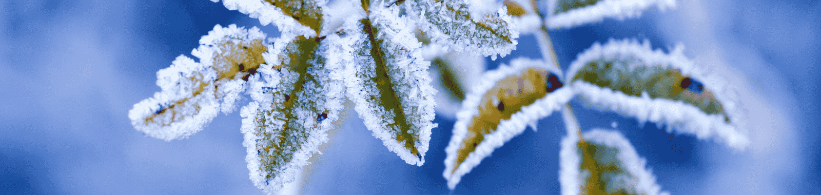 Water sample transport disruption during adverse winter weather in the UK