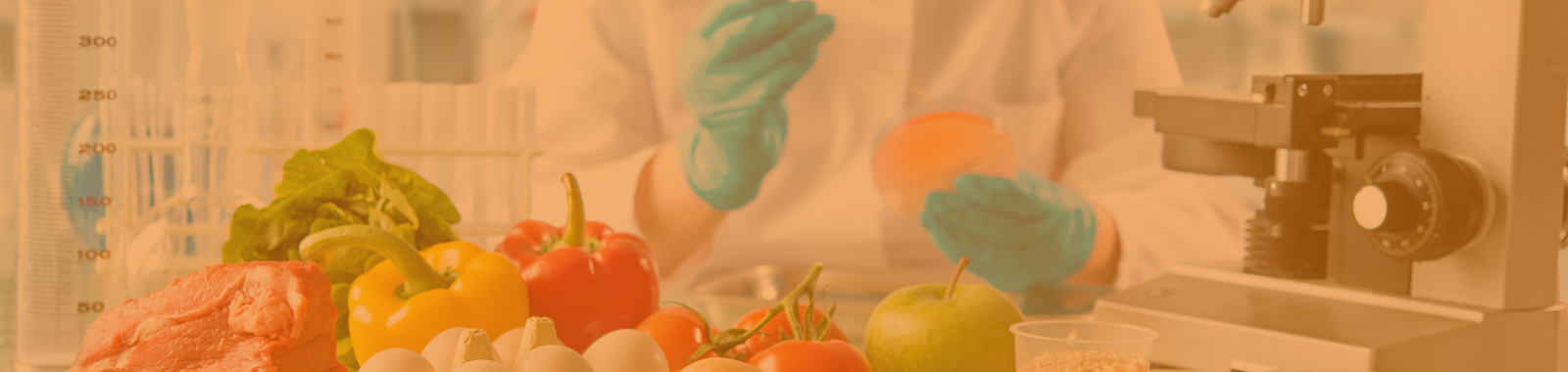 Management of Food Safety Incidents