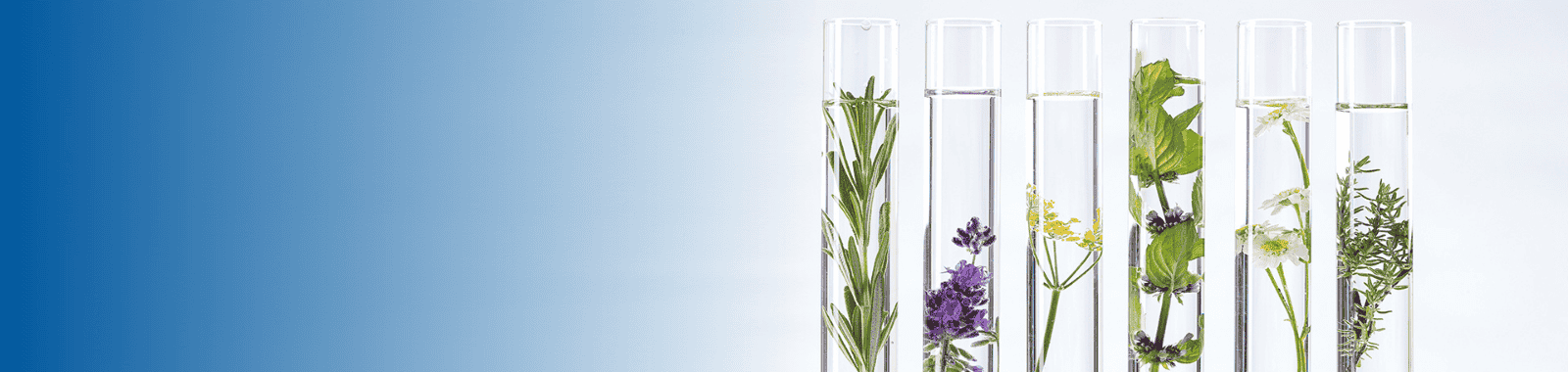 Residual solvent analysis in a food and feed