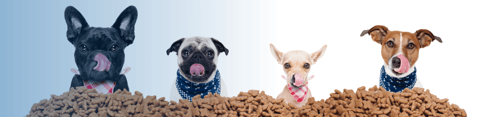 Quality testing for petfood, animal feed and compost at Eurofins Food Testing UK