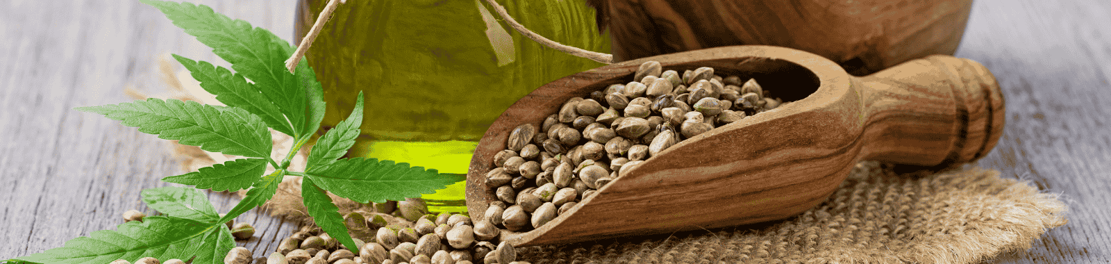 EFSA Consults on Δ8-THC: Draft Points to Similar Toxicity as Δ9-THC