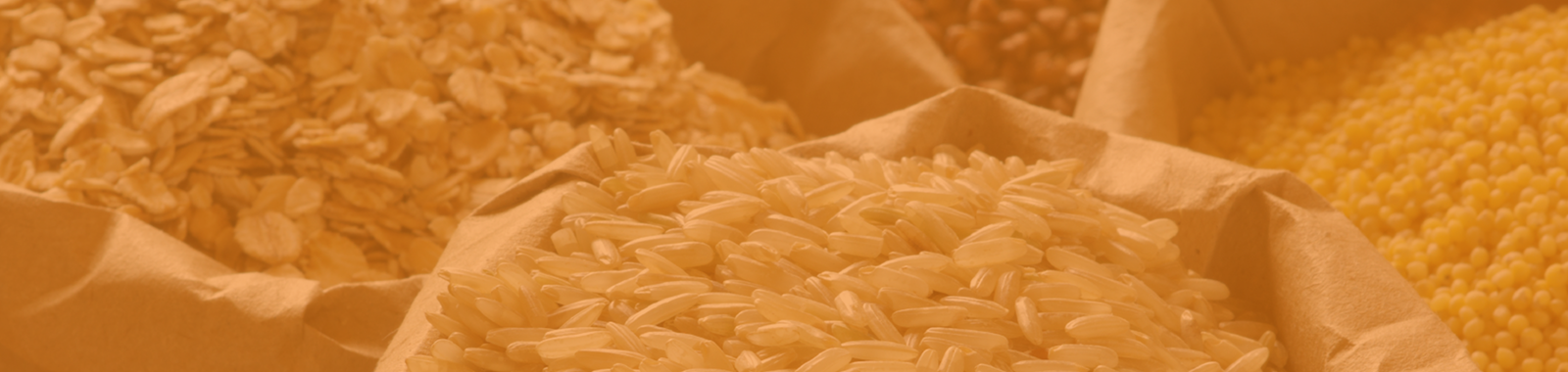 Understanding Mycotoxins in Food and Feed