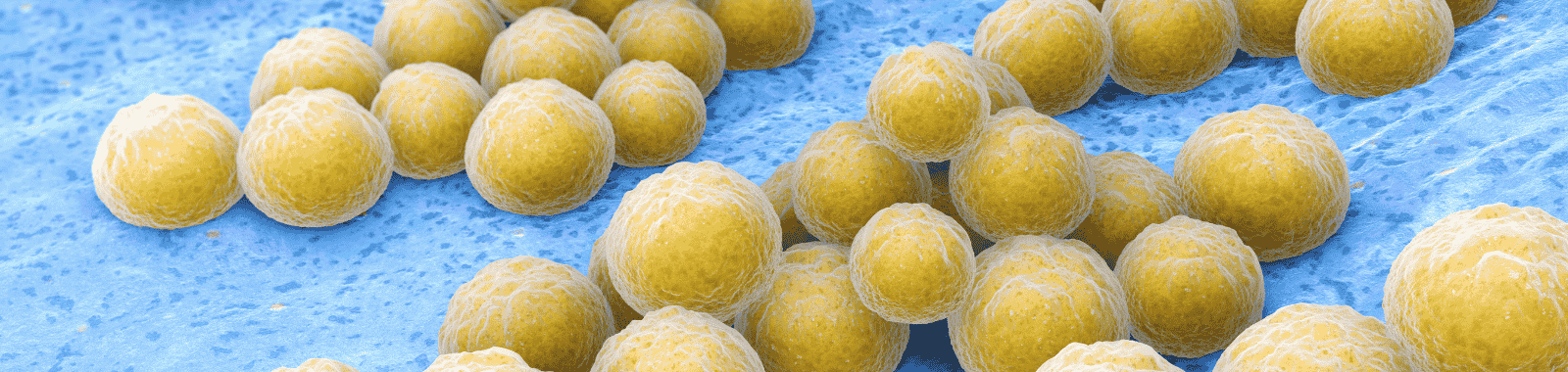 Coagulase positive staphylococcus testing in spa and healthcare water