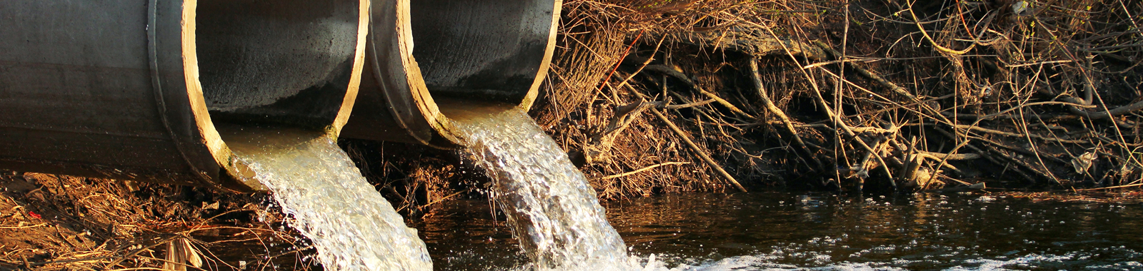 Water Quality Monitoring in the Spotlight